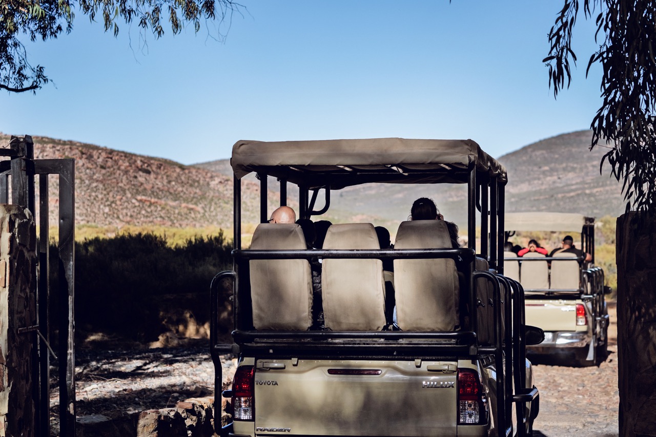 Out for a game drive