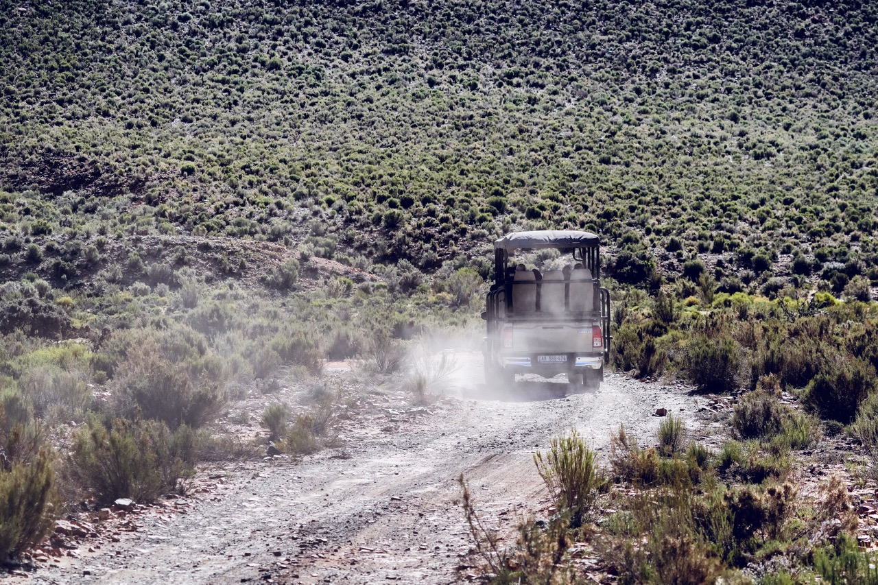 A Bit of Dust