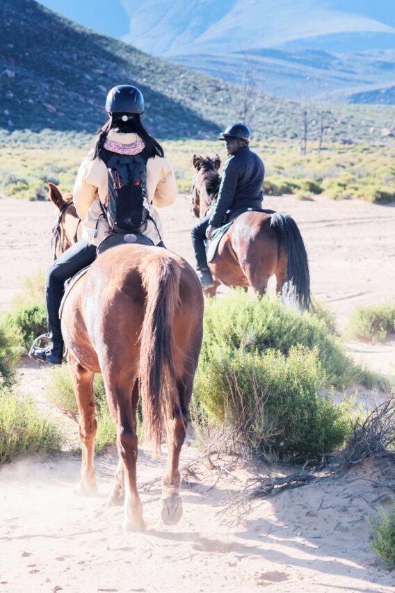 Horseback safari