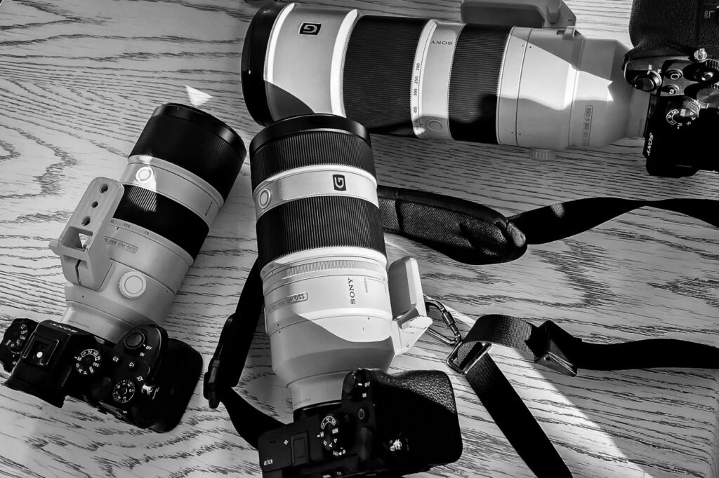 Sony gear at Aquila
